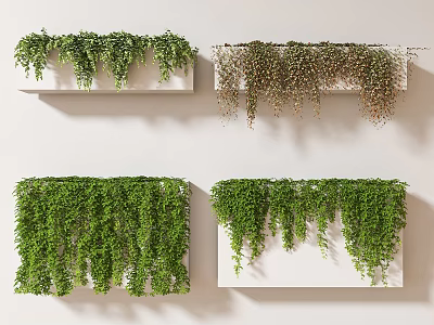 Modern Vine Wall Creeper Hanging Basket 3d model