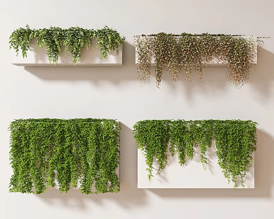 Different Varieties Of Hanging Green Vines On White Wall Mounted Shelves For Indoor Decor 3d model