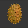 Ripe Kiwano Fruit With Orange Yellow Color And Spiky Surface On Black Background