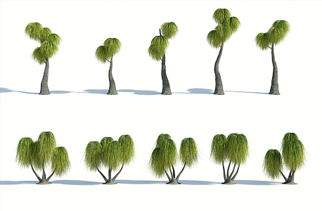 Modern Palm Tree 3d model