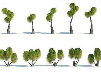 Modern Palm Tree 3d model