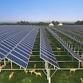 Modern Solar Panel Farm With Sheep Grazing In Green Field Under Blue Sky