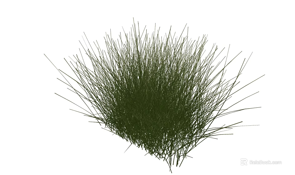 Lush Green Shrub With Slender Leaves For Outdoor Garden Landscaping Design 3d model 