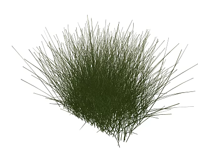 Lush Green Shrub With Slender Leaves For Outdoor Garden Landscaping Design 3d model