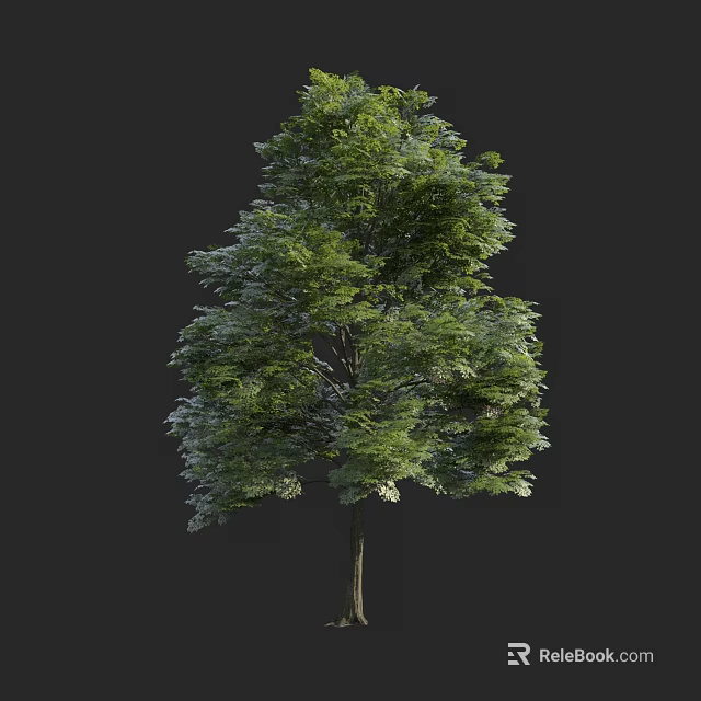 Lush Green Arbor With Dense Foliage And Strong Trunk In Natural Environment 3d model 
