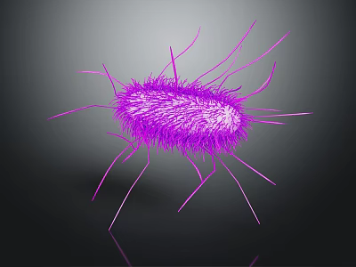 Purple Rod Shaped Bacteria With Hair Like Fimbriae And Flagella In 3D Rendered Microscopic View 3d model
