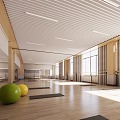 modern gym yoga studio dance studio 3d model