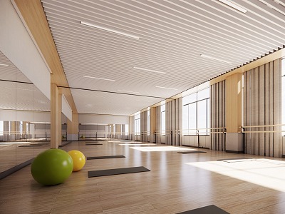 modern gym yoga studio dance studio 3d model