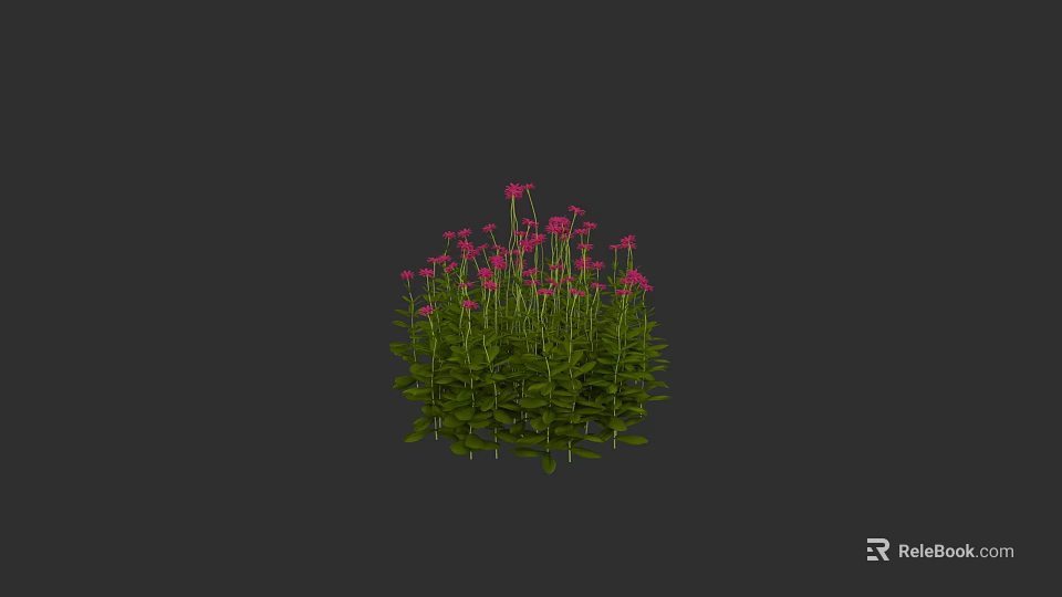 Vibrant Pink Flowers with Green Leaves in Round Cluster Against Dark Background 3d model 