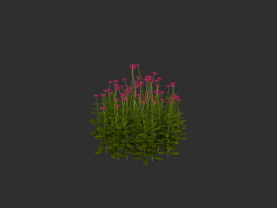 Vibrant Pink Flowers with Green Leaves in Round Cluster Against Dark Background 3d model