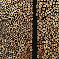 Decorative Wall Design With Arranged Wooden Circles Creating Textured Artistic Surface