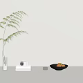 Decorative Ornament Combination With Glass Vase Green Plant Camera Book Glass Bottles Black Plate Fruits