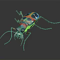 Colorful Flying Insect With Metallic Sheen Vibrant Colors Long Antennae On Dark Reflective Background