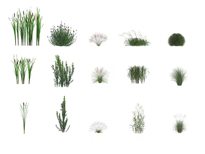 Various Types Of Aquatic Plants For Garden Pond Decoration And Landscaping 3d model