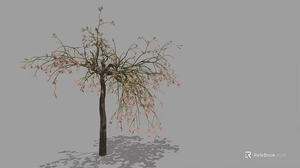 Arbor With Slender Branches Pink Flowers Dark Trunk And Gray Background Shadow 3d model