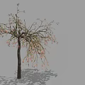 Arbor With Slender Branches Pink Flowers Dark Trunk And Gray Background Shadow 3d model