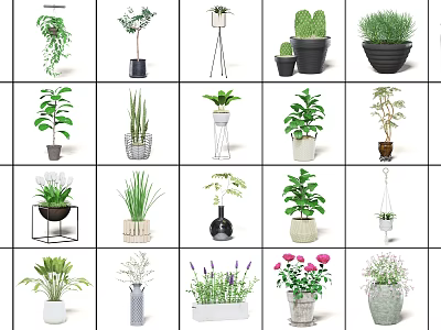 Diverse Bonsai Potted Plants With Decorative Planters And Greenery For Indoor Outdoor Decor 3d model