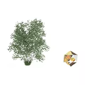 Two Seasons Birch Tree Decorative Ornament Set With Green Orange Leaves