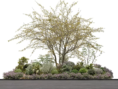 Tall Tree as Centerpiece in Garden Landscape Surrounded by Diverse Shrubs and Plants 3d model