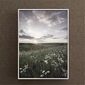 Scenic Landscape Painting of Meadow with White and Pink Flowers Distant Hills and Sunset Sky