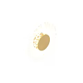 Modern Circular Wall Lamp With Golden Center And White Cutout Design