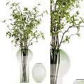 Transparent Glass Vases With Green Foliage And White Small Flowers In Different Sizes