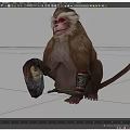 Red Faced Monkey With White Eyebrows Sitting Holding Stone And Decorative Arm Ankle Bands