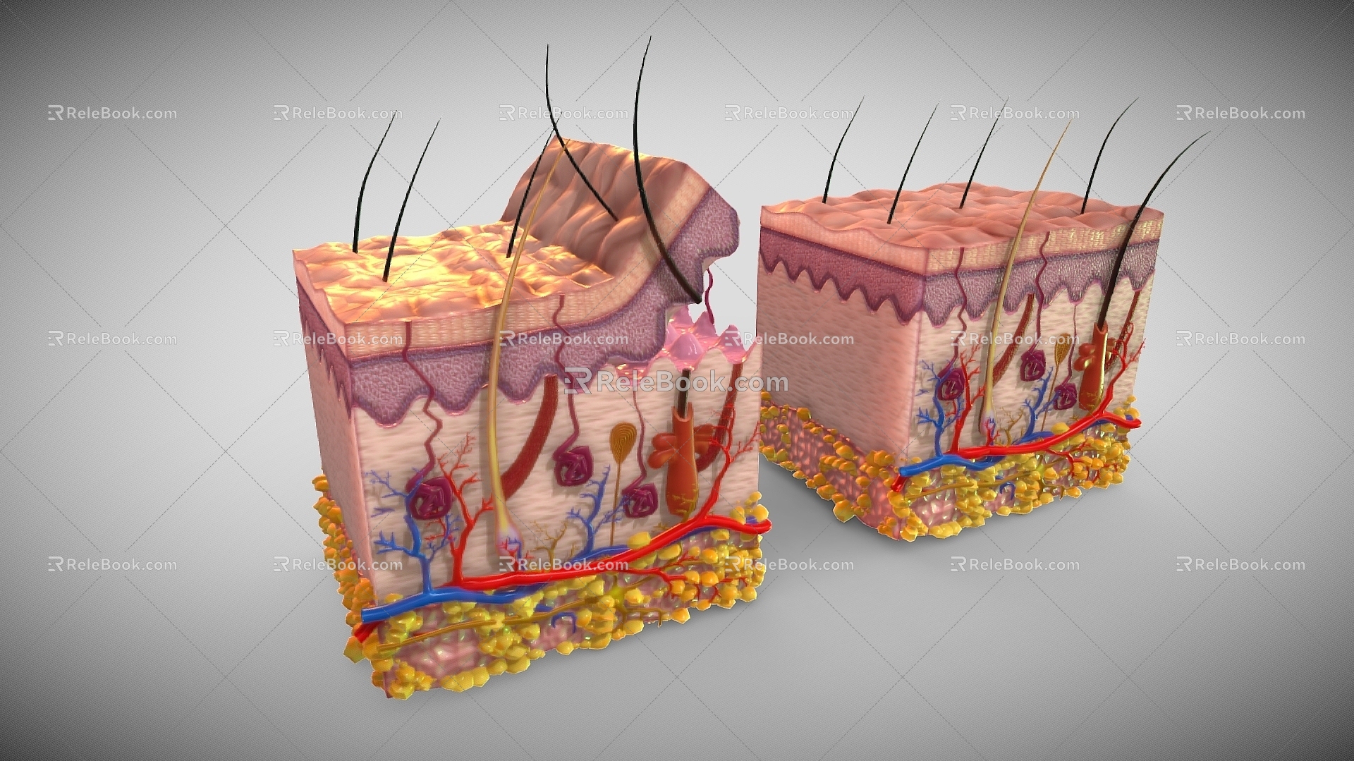 Medical supplies Subcutaneous tissue Medical materials 3d model