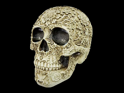 Man Displaying Intricate Patterned Decorative Skull Against Black Background 3d model
