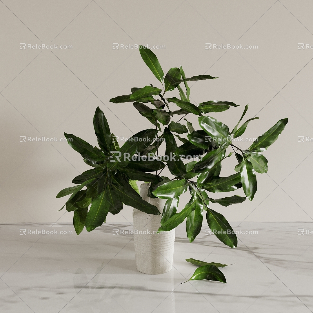 Vase Flower Floral Art Indoor Green Plant Bonsai Bonsai 3d model