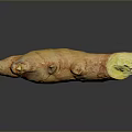 Fresh Raw Ginger Root with Natural Brown Texture Healthy Culinary Ingredient 3d model