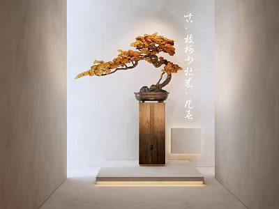 Elegant Bonsai Pine Tree On Wooden Stand In Minimalist Interior With Soft Lighting 3d model