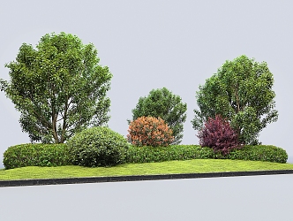 modern shrub flowerbed shrub 3d model