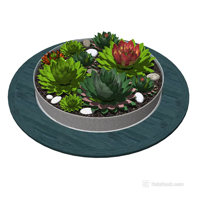 Bonsai Potted Succulent Plants In Round Container With White Pebbles And Dark Wooden Table 3d model 