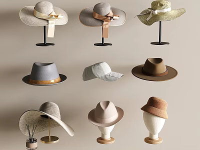 Stylish Hats In Various Styles Wide Brimmed Straw Felt With Ribbons On Display Stands 3d model