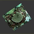 Vibrant Marine Plants On Square Coral Reef Model With Green Red Brown Hues