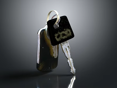 Shiny Metal Key With Black Tag And Chain On Dark Surface 3d model