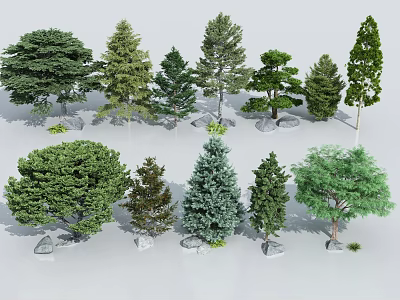 Different Types of Arbor Trees 3D Models with Stones and Grass Around 3d model