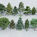 Different Types of Arbor Trees 3D Models with Stones and Grass Around