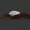 White Stone On Brown Soil With Small Branches Fallen Leaves And Gray Background