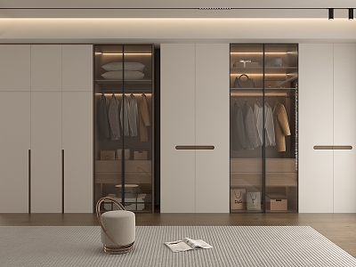 Modern wardrobe model