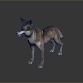 Wolf Cartoon Wolf Animation Wolf Animation Wolf Wolf Big Bad Wolf Wolf Warrior Cartoon Character Cartoon Animal 3d model