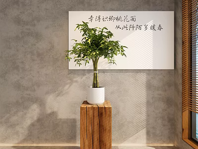 Elegant Indoor Bonsai Plant In White Pot On Wooden Stand Against Gray Wall With Calligraphy 3d model