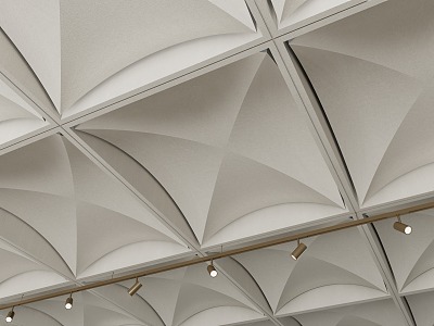 Modern Ceiling Shape Ceiling Special-shaped Ceiling model