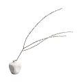 Minimalist White Ceramic Vases With Dried Twigs And Decorative Flowers For Home Decor