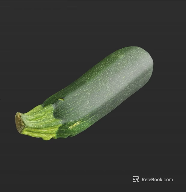 Fresh Green Zucchini Vegetable Great for Healthy Cooking Salad and Diet Recipes 3d model 