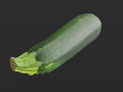 Fresh Green Zucchini Vegetable Great for Healthy Cooking Salad and Diet Recipes 3d model