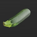 Fresh Green Zucchini Vegetable Great for Healthy Cooking Salad and Diet Recipes