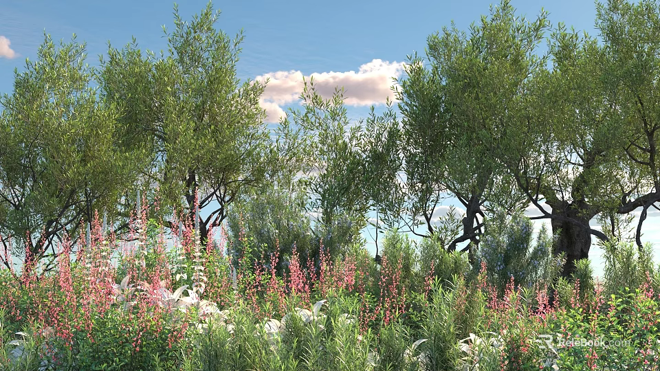 Lush Green Trees with Pink Flowers and Lush Grass Under Blue Sky and White Clouds 3d model 