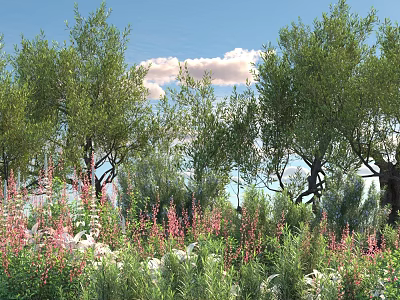 Lush Green Trees with Pink Flowers and Lush Grass Under Blue Sky and White Clouds 3d model